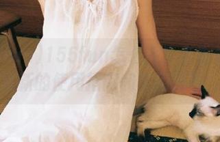 155fun怎么用？来看看最新更新的使用指南和实用技巧！