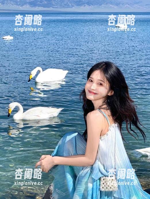 www.17带你直达娱乐圈，导航无障碍的吃瓜人生