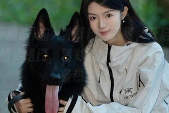 加入冲哥精选下载，开启趣味横生的传送门，精彩链接让你不错过每一条热闻！