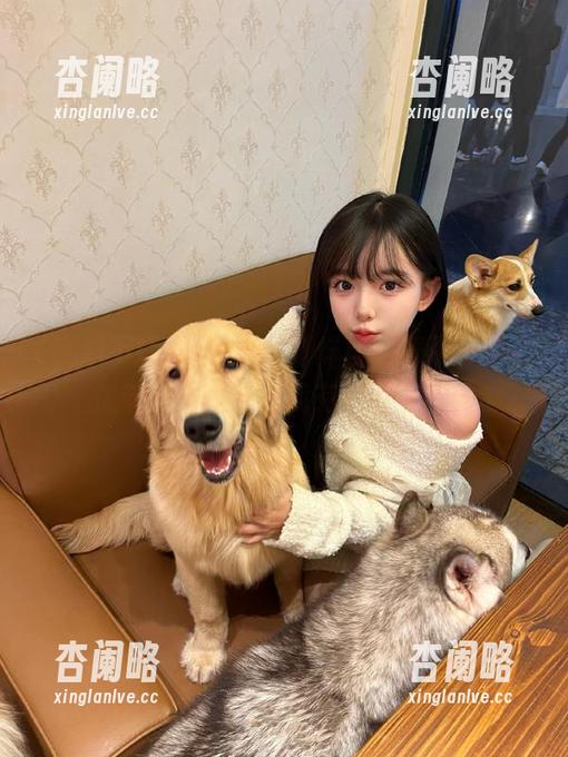 黑料不打烊官网打不开了，情节发展太狗血我有点不淡定！