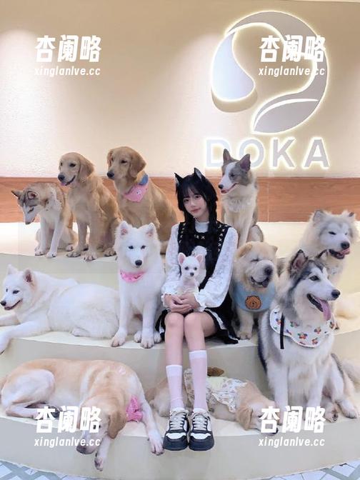 黑料不打烊怎么下载苹果版？快速获取途径介绍