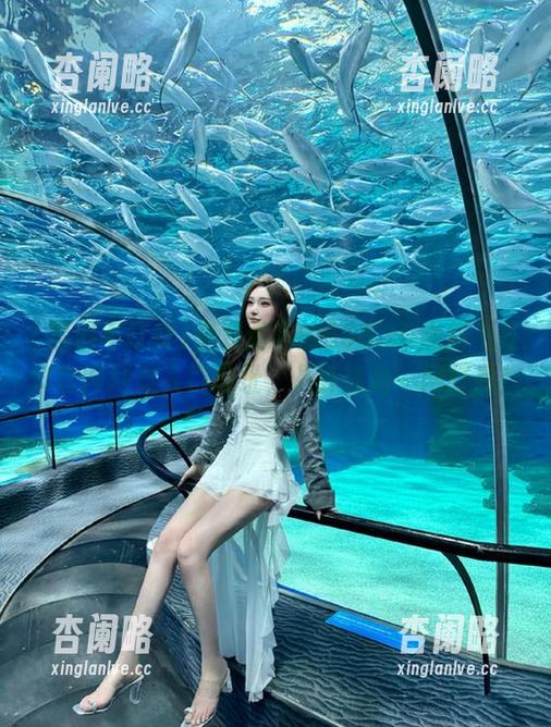 绝对真实的668.su黑料不打烊官网网页入口地址，八卦咨询一网打尽！
