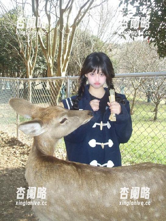 黑料网今日黑料：最新app苹果版发布，探寻各种黑暗内幕与八卦