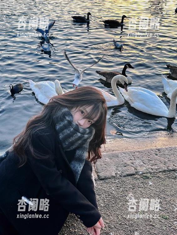 黑料网app下载，免费观看最新八卦内容，免费获取独家黑料！